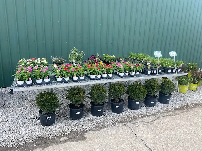 Four Branches By John Lasley Outdoor Solutions Picture 6