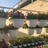 Four Branches By John Lasley Outdoor Solutions ico