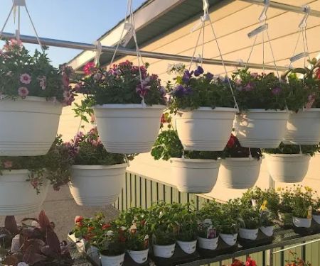Four Branches By John Lasley Outdoor Solutions