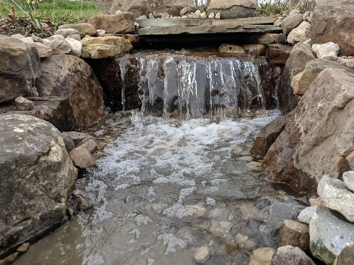 Mother Nature Landscaping Picture 1