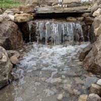 Mother Nature Landscaping ico