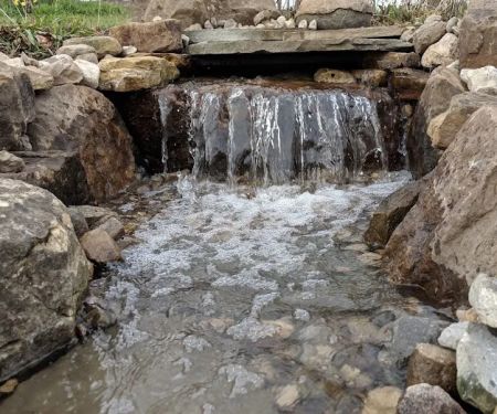 Mother Nature Landscaping