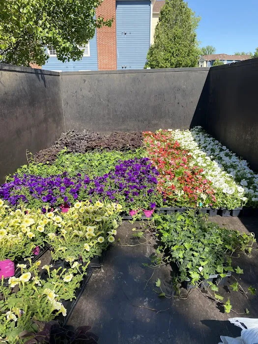 C&S Lawn & Landscaping Picture 10
