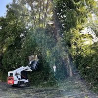 C&S Lawn & Landscaping ico
