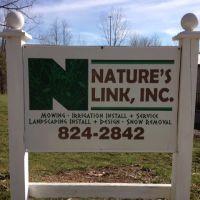 Nature's Link Inc ico