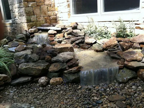 Nature's Link Inc Picture 6