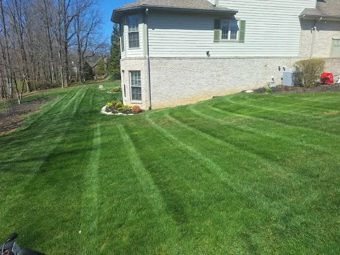 Nature's Link Inc Picture 2