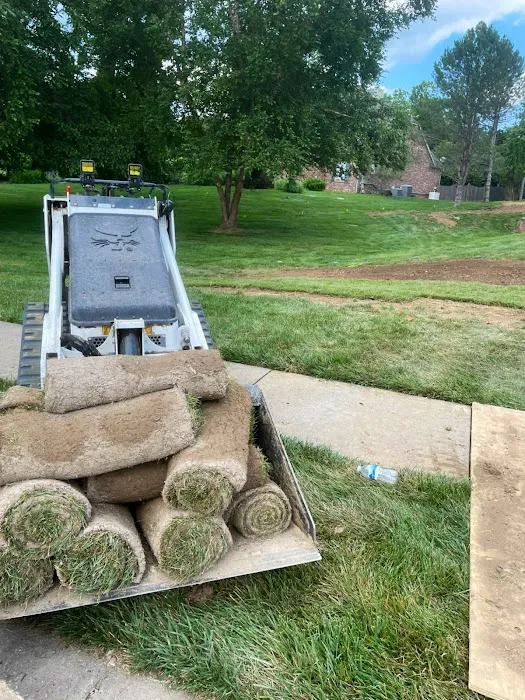 Executive Lawn Care & Landscaping Picture 2