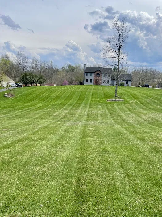 Executive Lawn Care & Landscaping Picture 3