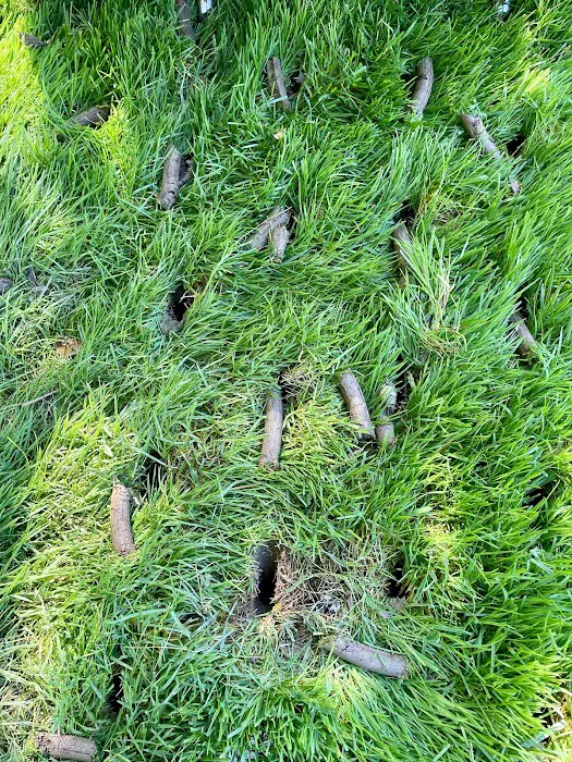 Executive Lawn Care & Landscaping Picture 6