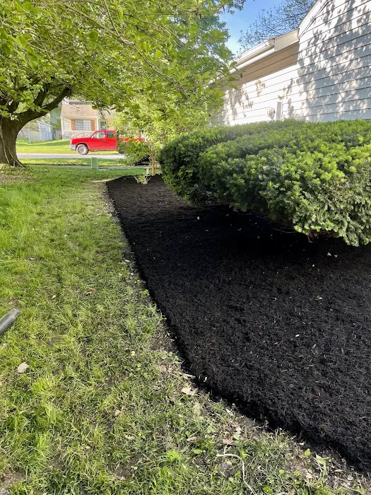 Executive Lawn Care & Landscaping Picture 1