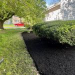 Executive Lawn Care & Landscaping