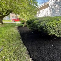 Executive Lawn Care & Landscaping ico