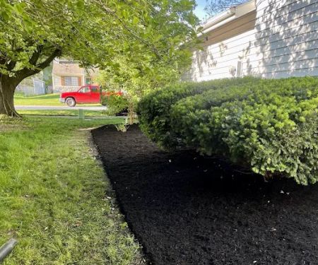 Executive Lawn Care & Landscaping