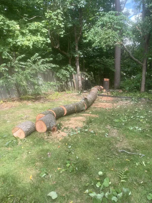 Wilder Things Landscaping Picture 1