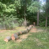 Wilder Things Landscaping ico