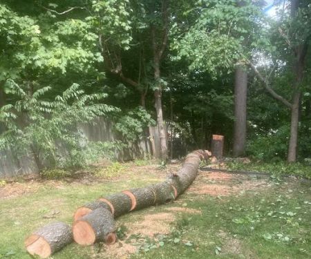 Wilder Things Landscaping