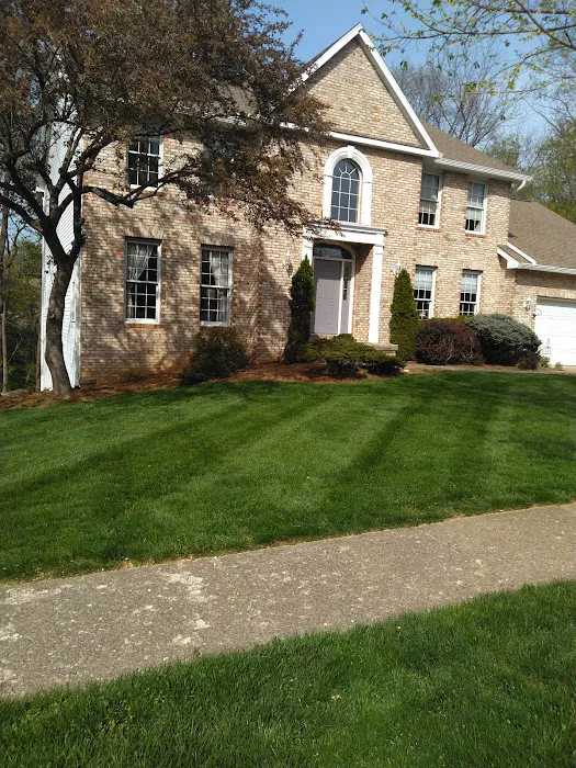 Easy Go Lawn Care Picture 2