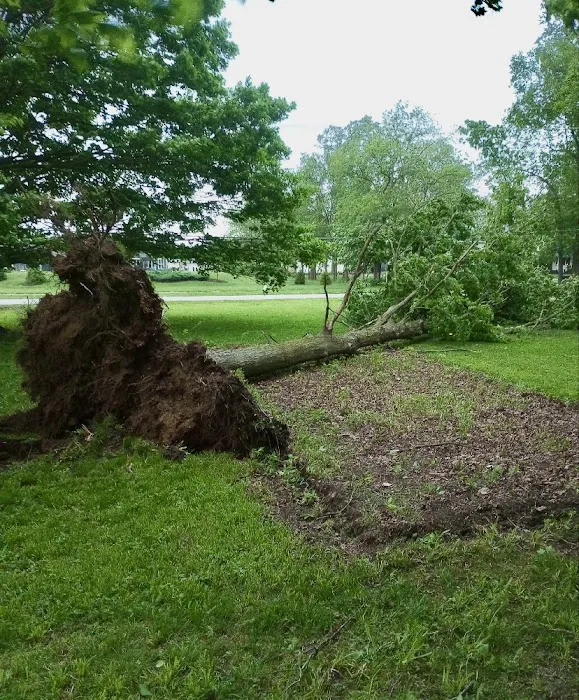 Ranger Landscaping Picture 5