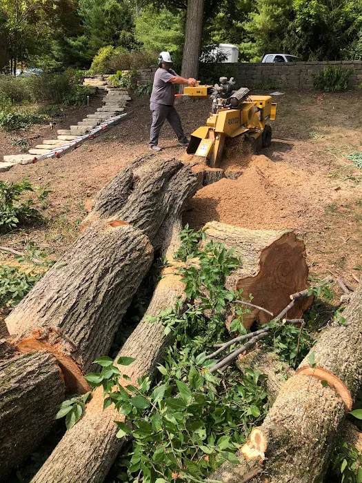 Lawn Care of Indiana Picture 4