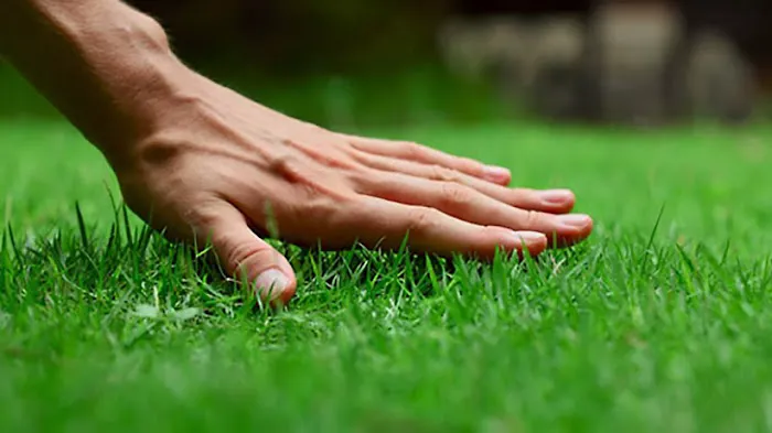 Parks Outdoor Maintenance Picture 9