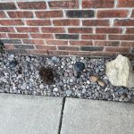 Murphy’s Landscaping LLC