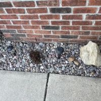 Murphy’s Landscaping LLC ico