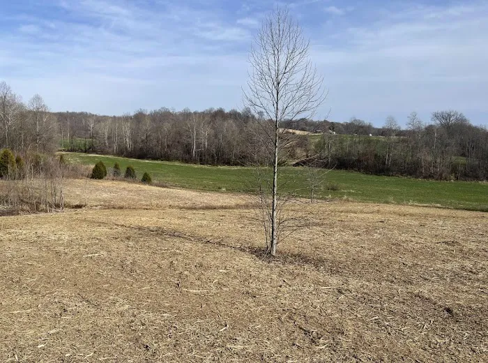 Indiana Keeler Farm Services Land Clearing Forestry Mulching, Excavating, Stump Removal, & Pond Repairs Picture 8