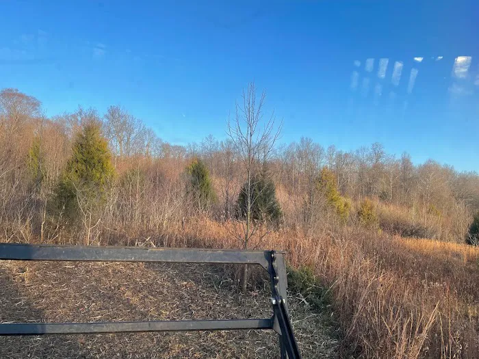 Indiana Keeler Farm Services Land Clearing Forestry Mulching, Excavating, Stump Removal, & Pond Repairs Picture 3