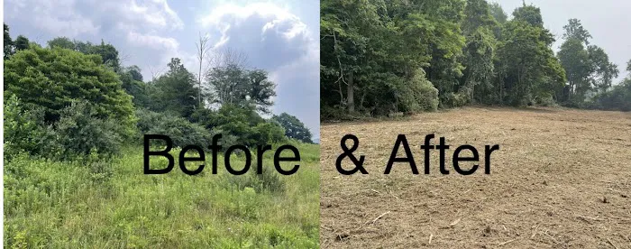 Indiana Keeler Farm Services Land Clearing Forestry Mulching, Excavating, Stump Removal, & Pond Repairs Picture 7