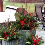 Brownsburg Landscape