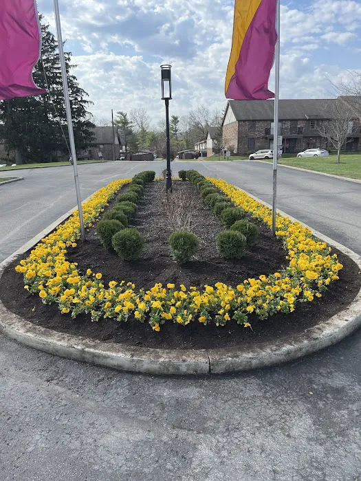 Franco Landscaping Inc Picture 4