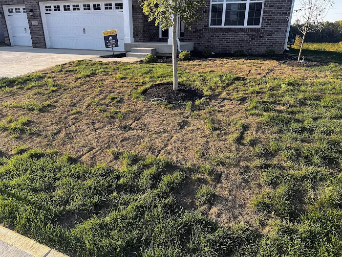 Start To Finish Landscaping Picture 8
