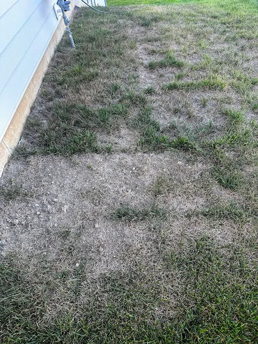 Start To Finish Landscaping Picture 10
