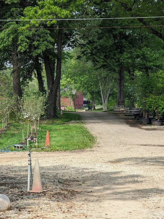 Eagle Creek Nursery & Landscape Picture 9