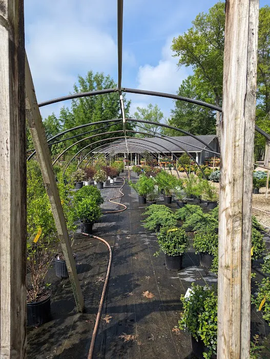 Eagle Creek Nursery & Landscape Picture 10
