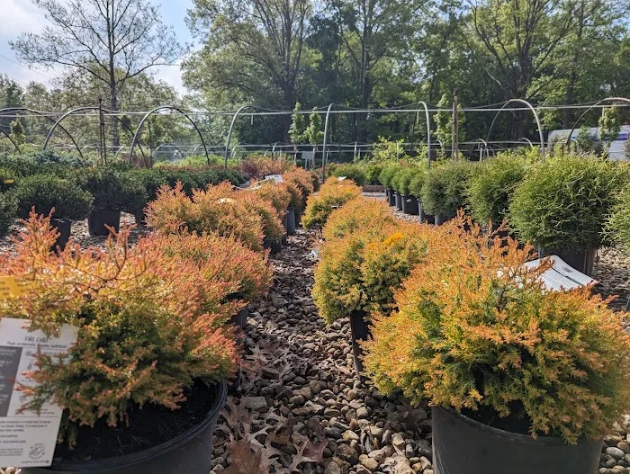 Eagle Creek Nursery & Landscape Picture 4