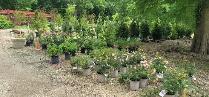 Eagle Creek Nursery & Landscape Picture 3