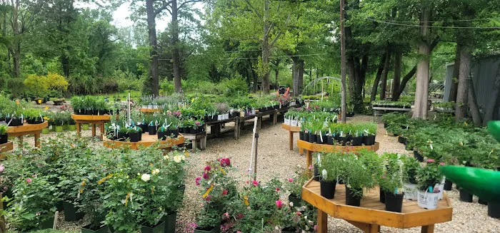 Eagle Creek Nursery & Landscape Picture 8