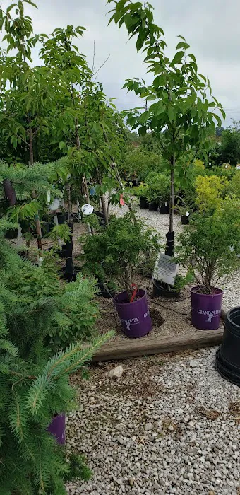 Greendell Landscape Solutions Picture 2