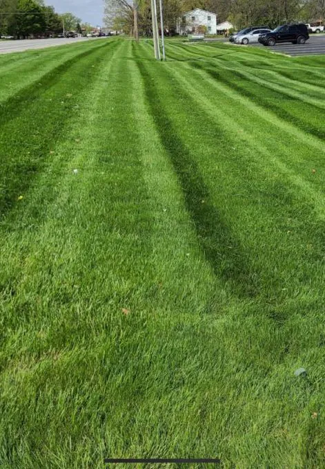 Starnes Outdoor Solutions, INC Picture 2