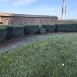 Starnes Outdoor Solutions, INC