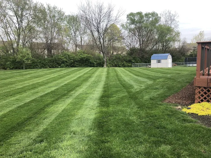 Clem’s Lawncare Picture 5