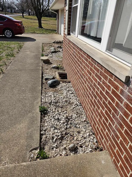 MB Landscaping and Lawn Service Picture 3