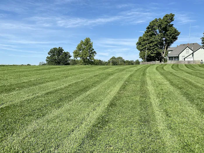 MB Landscaping and Lawn Service Picture 2