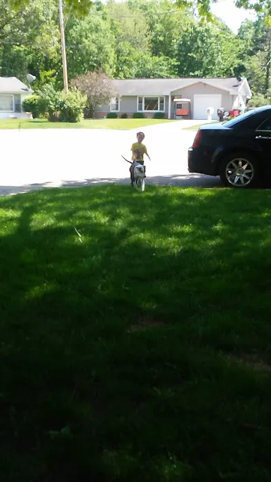 Uppole's Lawn Care Picture 4