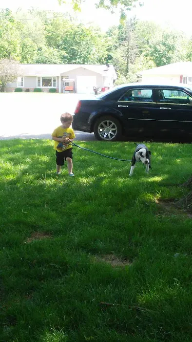 Uppole's Lawn Care Picture 3