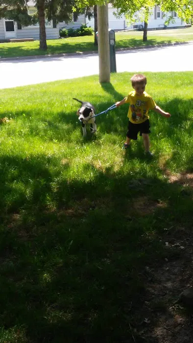 Uppole's Lawn Care Picture 2
