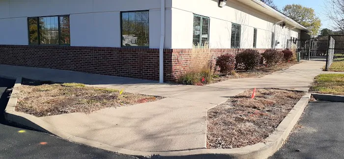 Exclusive Landscaping Picture 9