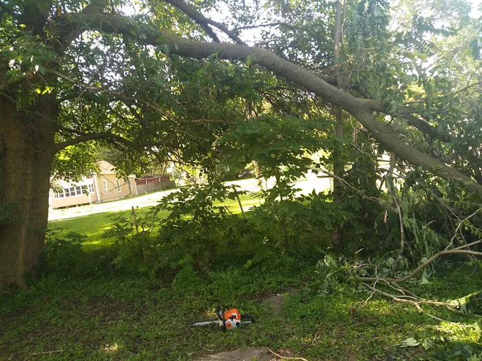 A&E Lawn and Tree Picture 10